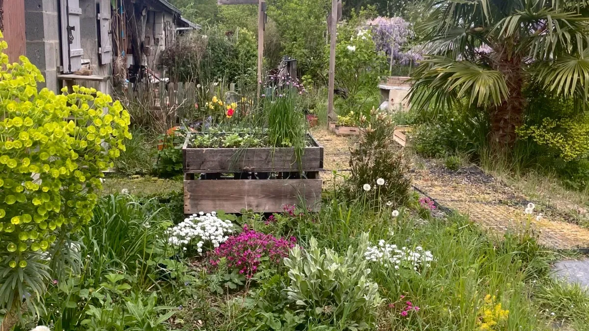 Photo 3