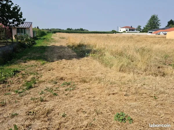 Terrain constructible