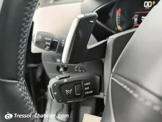 Ds Ds 3 ds3 crossback puretech 130 eat8 grand chic — photo 17