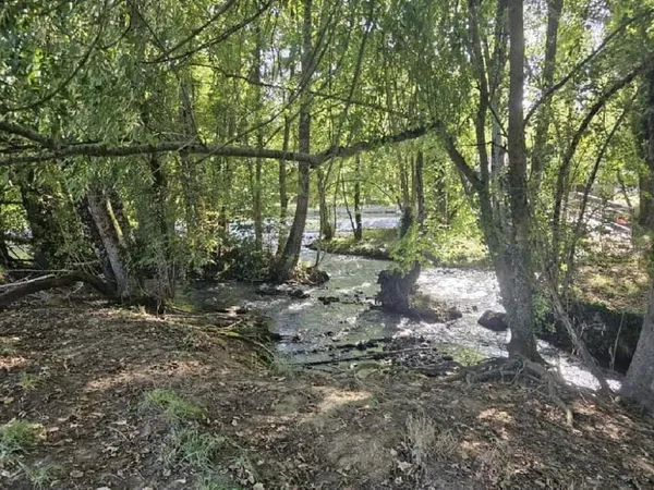 Terrain Vente Alloue 1p 10000€