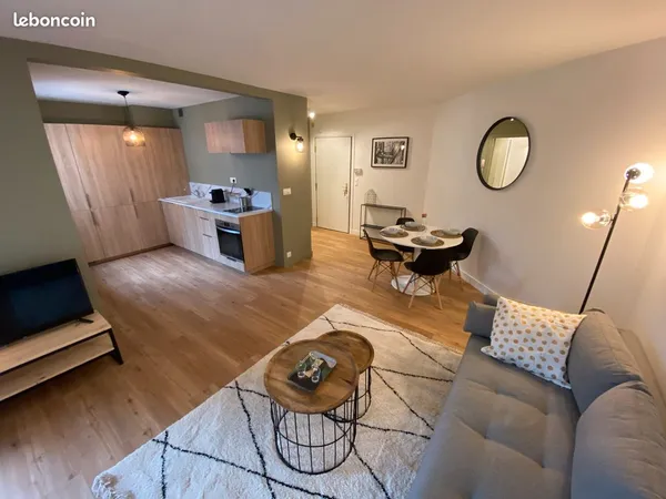 LYON 7 - Appartement 39 m2 meublé