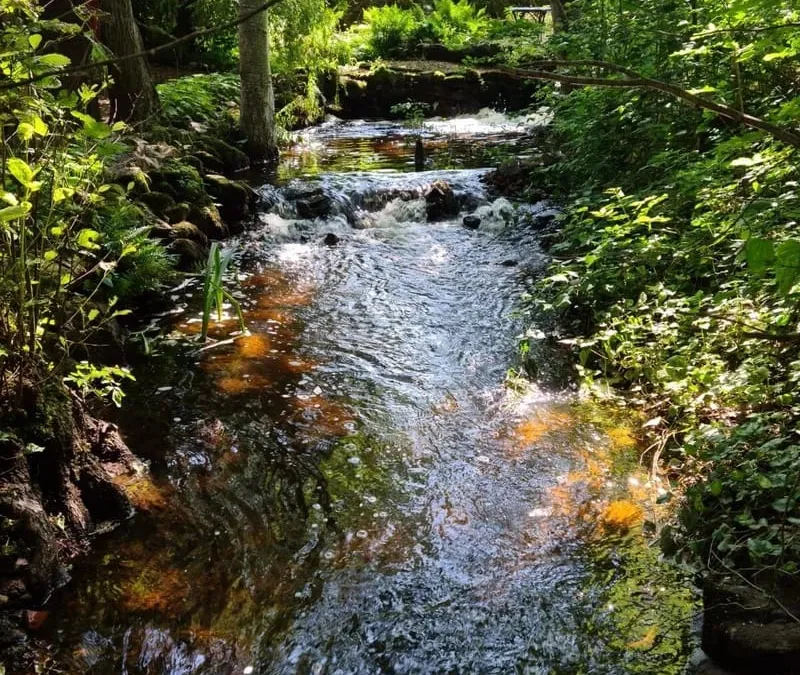 Photo 14