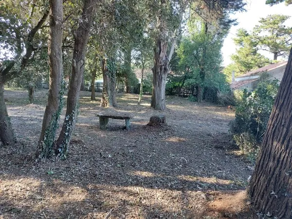A VENDRE - ILE DE NOIRMOUTIER - L'EPINE - TERRAIN 2000 M2 -