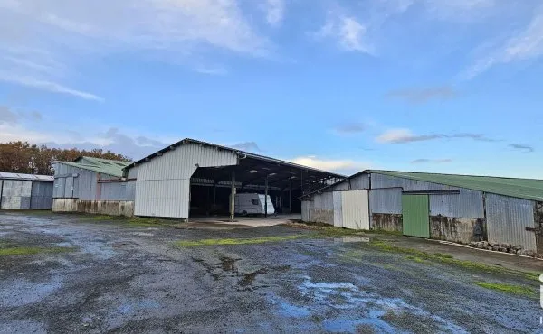 Local commercial 300 m²