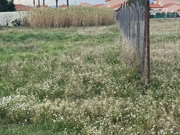 Terrain à vendre