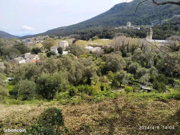 Très beau terrain constructible avec Certificat d'urbanisme opérationnel sur LURI, aperçu mer, Cap C