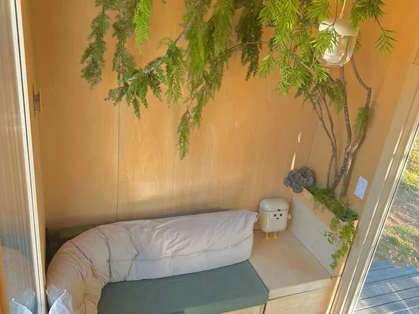 🪴 tiny house 🪴