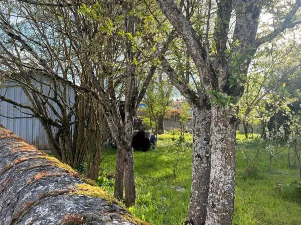 Jardin preserve