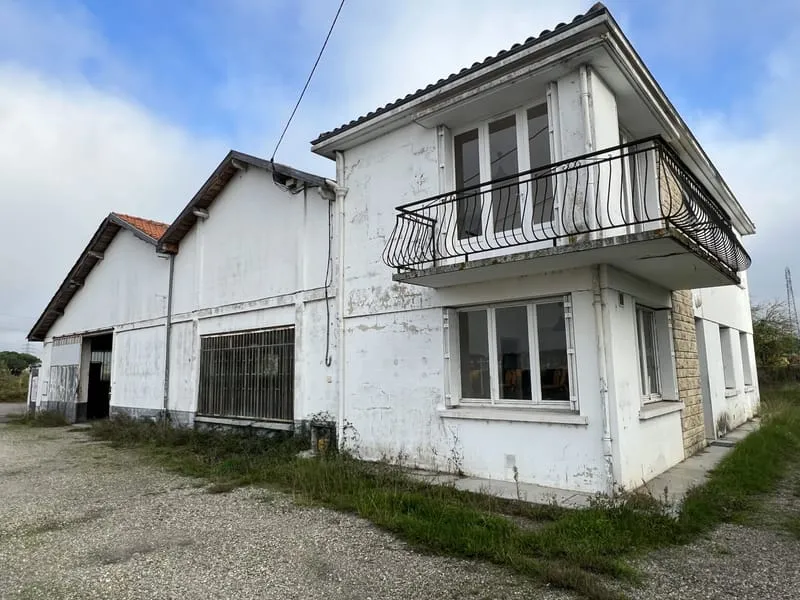 Photo 16