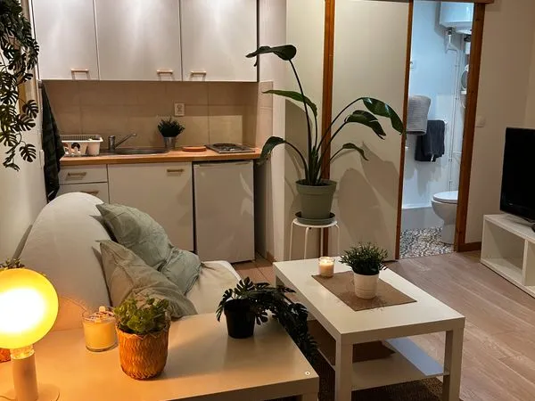 Studio meublé - hyper centre nantes talensac - à louer dès maintenant