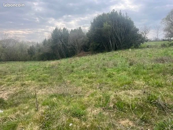 Terrain 982 m² Sadirac