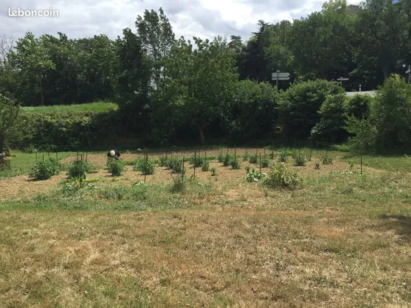 Terrain à bâtir 939 m² (Option +1190 m²) - Saint-Félix-Lauragais