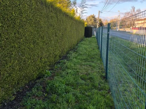 Terrain constructible 492m2