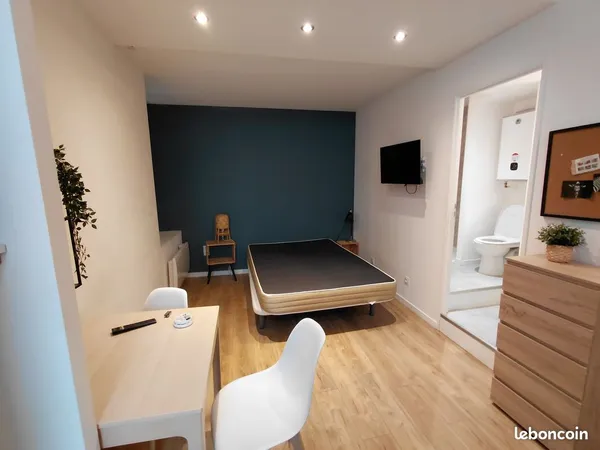 Studio Meublé 23m² centre ville Mâcon proche place aux herbes