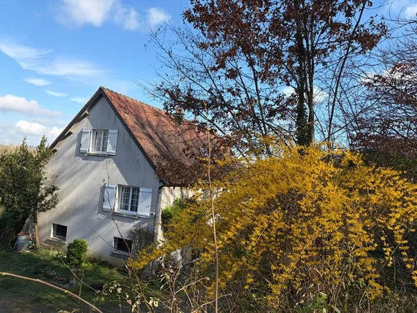 Maison 7 pièces à vendre à Chançay - Environnement agréable