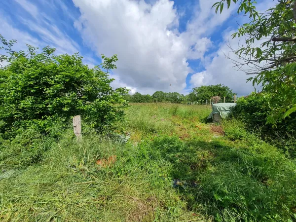 Terrain 2874 m²