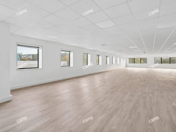 Bureau 255 m²