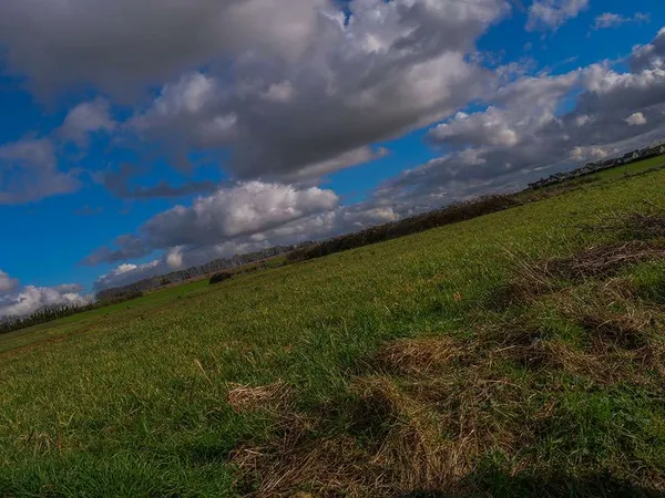Terrain 335 m²