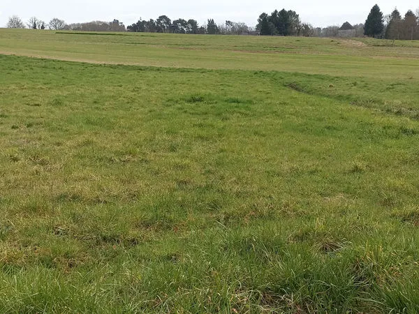 Terrain constructible Ussac - Saint Viance 1545 m2