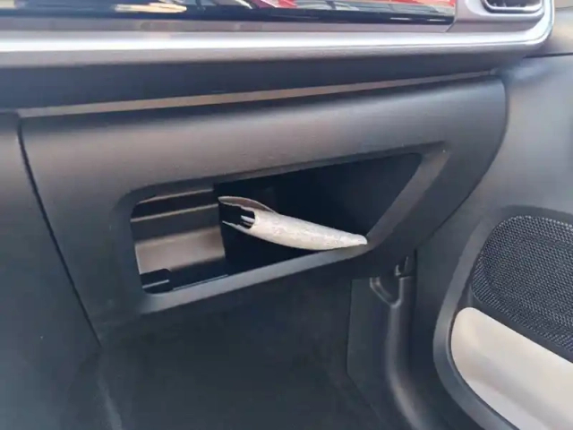 Citroën C3 bluehdi 100 bvm6 — photo 59