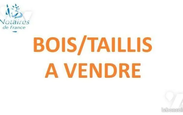 Terrain 7590 m² CEAUX EN COUHE