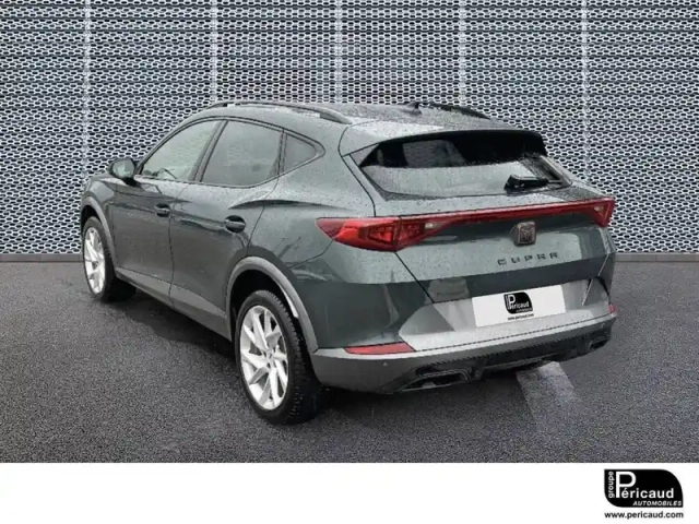 Cupra Formentor 2.0 tdi 150 ch dsg7 4drive — photo 3