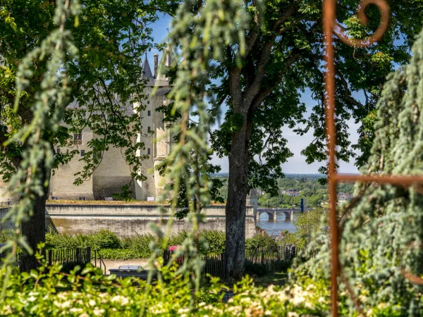 Propriété 11 pièces 328 m²