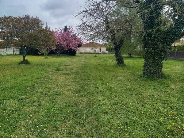 Terrain 852 m²