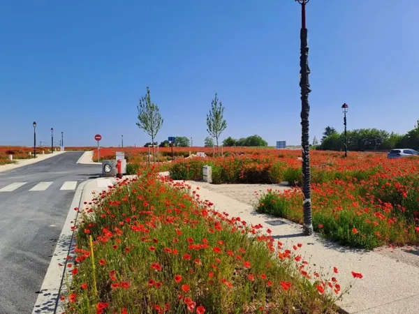 Terrain 266 m²