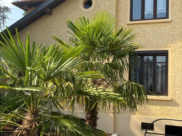 Maison 3 pièces 73 m2 rive de Gier
