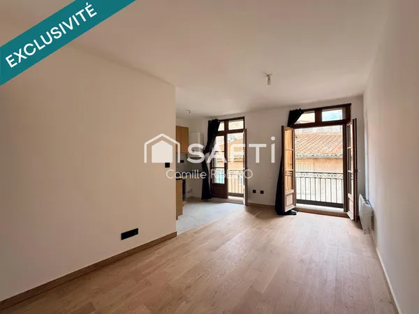PERPIGNAN,APPT T2 RENOVE AVEC GOUT,CENTRE VILLE