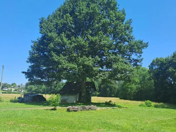 Opportunité Unique : Votre Domaine Privé face aux Pyrénées !