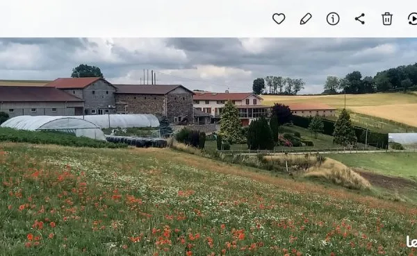 Vends maison et terrains