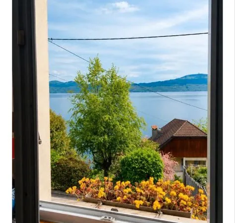 Appartement meublé 30m2-meillerie
