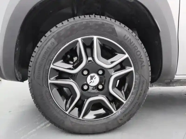 Dacia Spring extreme — photo 15