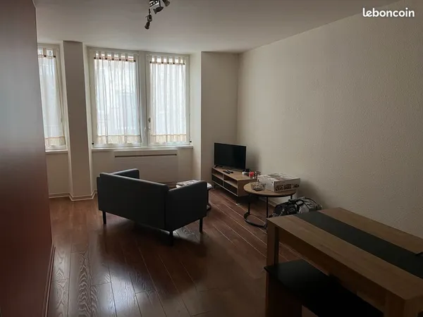 Très joli T2 rénové plein centre ville