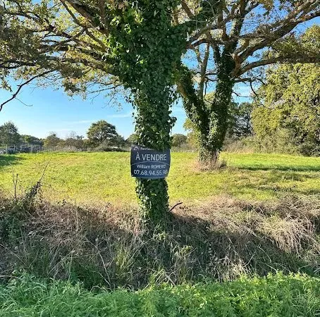 Terrain 1338 m²
