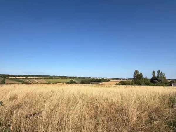 Terrain 511 m²