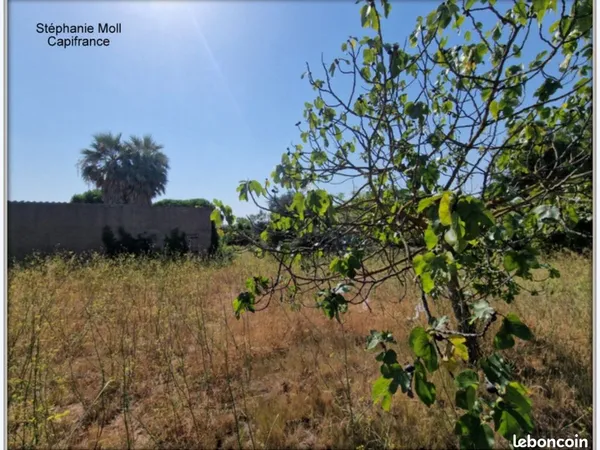 Terrain 2 958 m² Narbonne