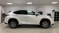 Lexus Nx 300h 4WD Luxe — photo 4
