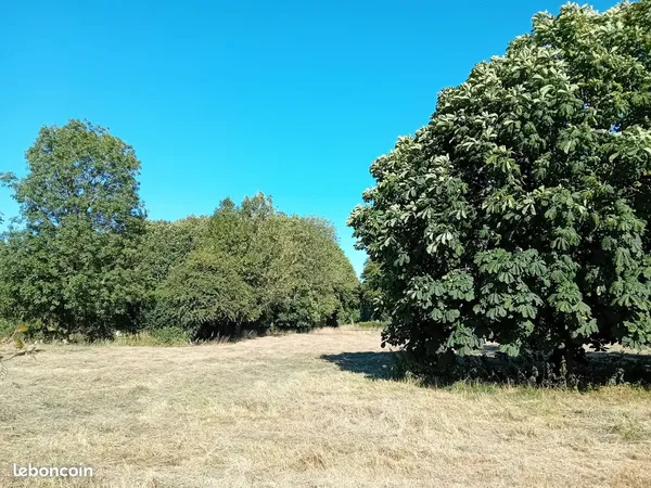 Terrain Constructible 1122m2 Domqueur (80)