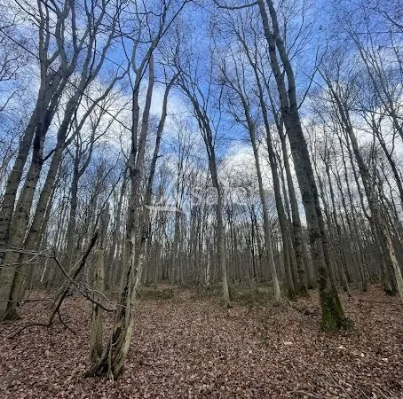 Terrain 115200 m²