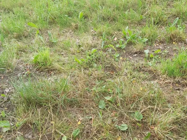 Terrain 1050 m²