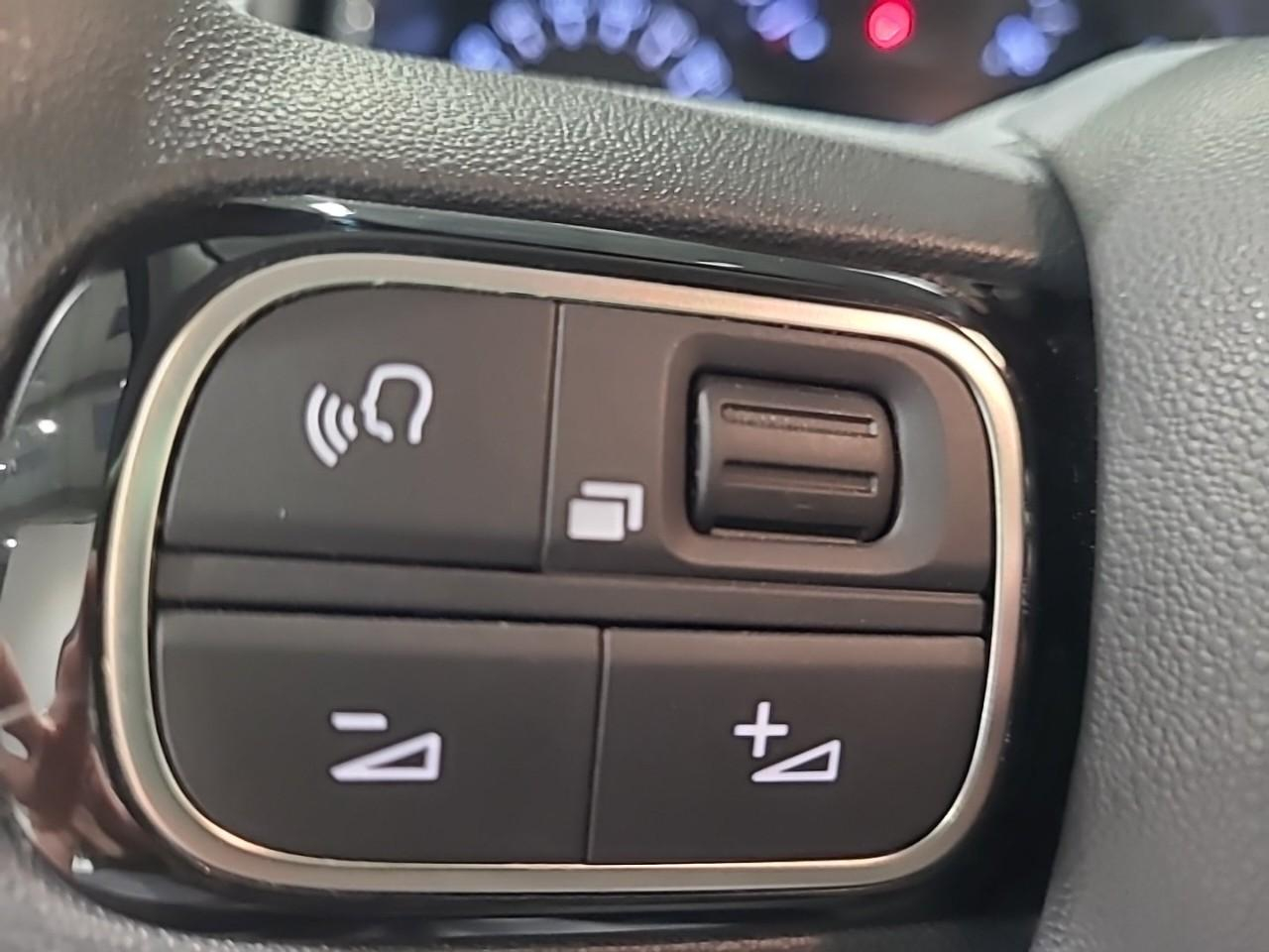 Citroën C3 bluehdi 100 bvm6 you — photo 22
