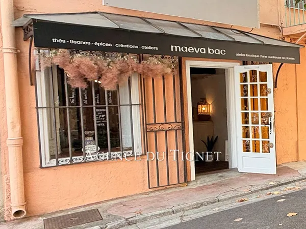 professionnel local commercial