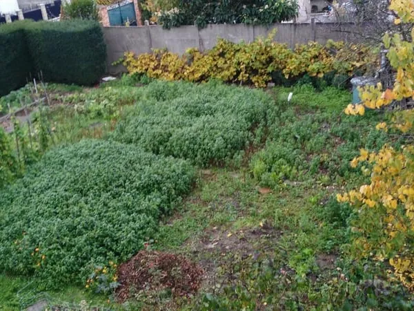 Terrain Constructible à quelques minutes à pied de la Gare Garges-Sarcelles