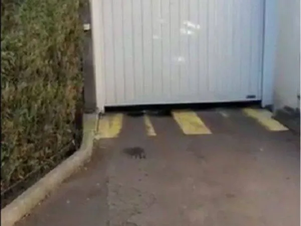 Parking 11 m²