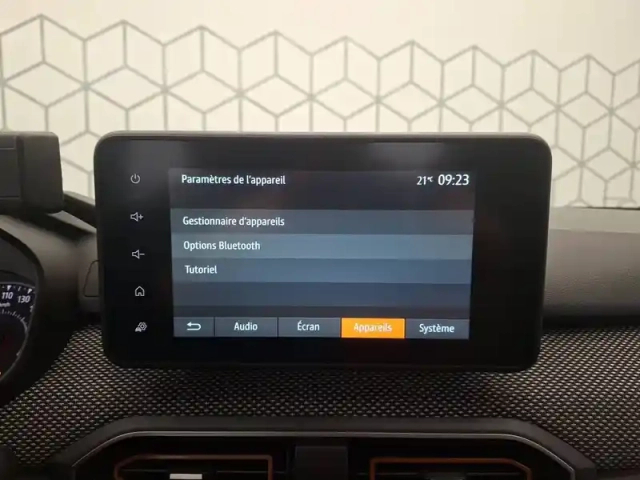 Dacia Sandero eco-g 100 — photo 19
