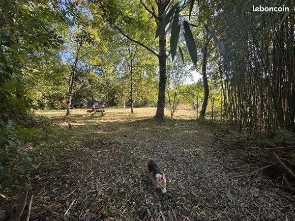 À vendre - Terrain à bâtir de 1021 m2 avec piscine existante et terrasse bois
