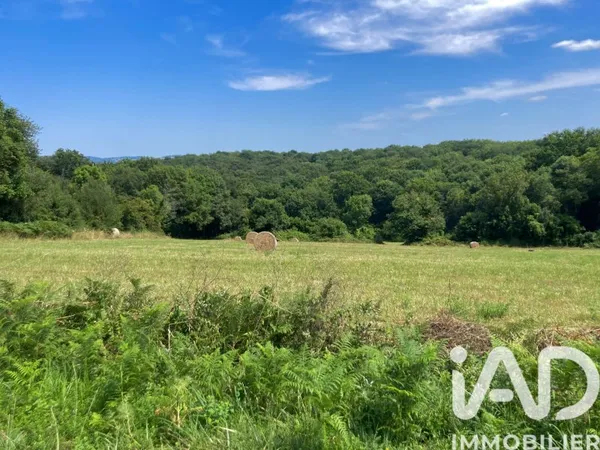 Terrain 2411 m²
